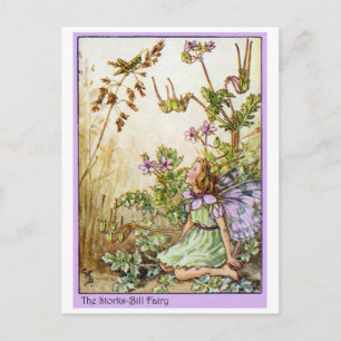 Storch-Bill-Fee Postkarte