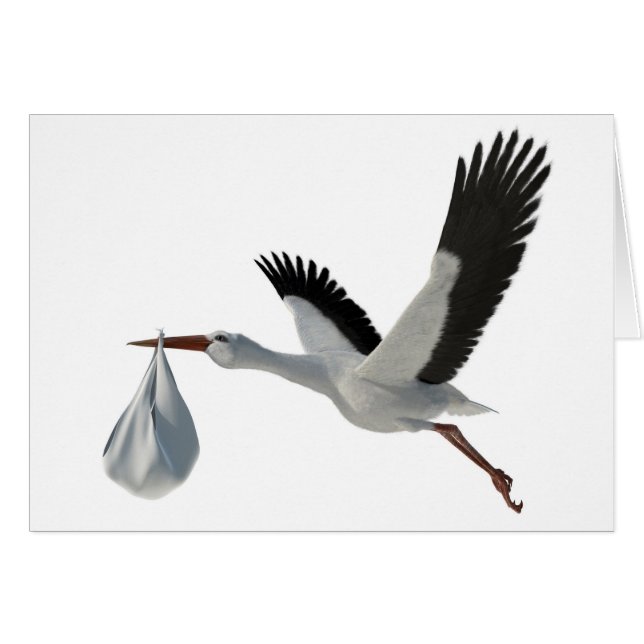 Storch, der Bündel liefert (Vorderseite (Horizontal))