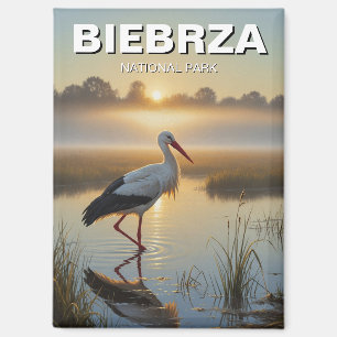 Storch in Biebrza Nationalpark Polen Reisen Magnet