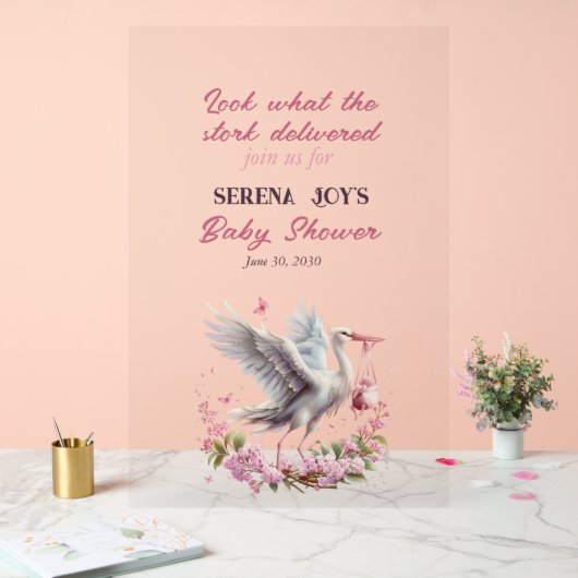 Storch liefert ein Baby Mädchen Acrylschild (Hochzeit)