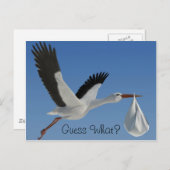 Storch mit Baby Bundle Postkarte (Vorne/Hinten)