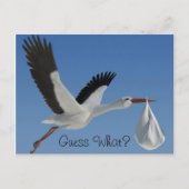 Storch mit Baby Bundle Postkarte (Vorderseite)