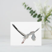 Storch mit Bundle auf Weiß Postkarte (Stehend Vorderseite)