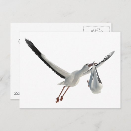 Storch mit Bundle auf Weiß Postkarte (Vorne/Hinten)