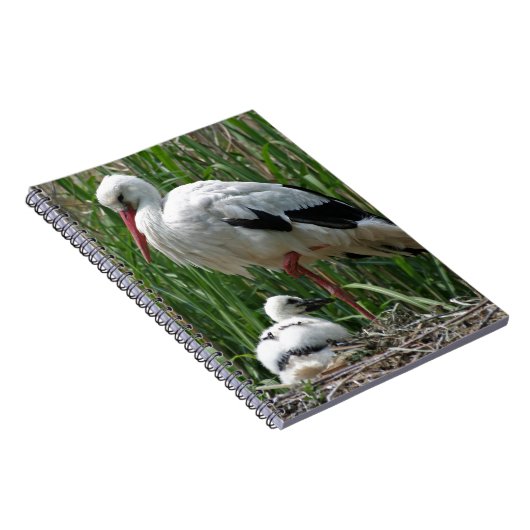 Storch Notizblock (Rechte Seite)