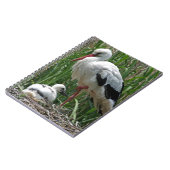 Storch Notizblock (Linke Seite)