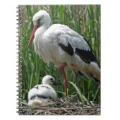 Storch Notizblock (Vorderseite)
