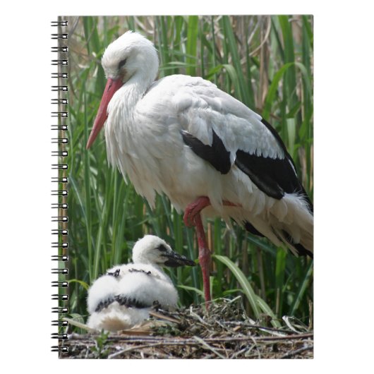Storch Notizblock (Vorderseite)