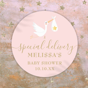 Storch-Speziallieferung Baby Mädchen Rosa Babypart Runder Aufkleber