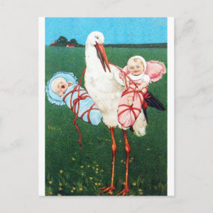 STORCH ZWILLINGS-BABYPARTY, Rosa ,Türkisblau Einladungspostkarte