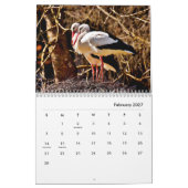 Storchenkalender Kalender (Feb 2027)