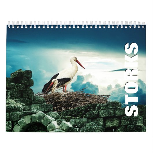 Storchenkalender Kalender (Titelbild)