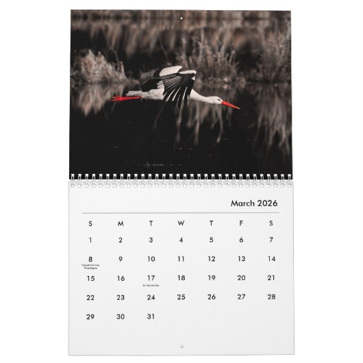Storchenkalender Kalender (Mär 2026)