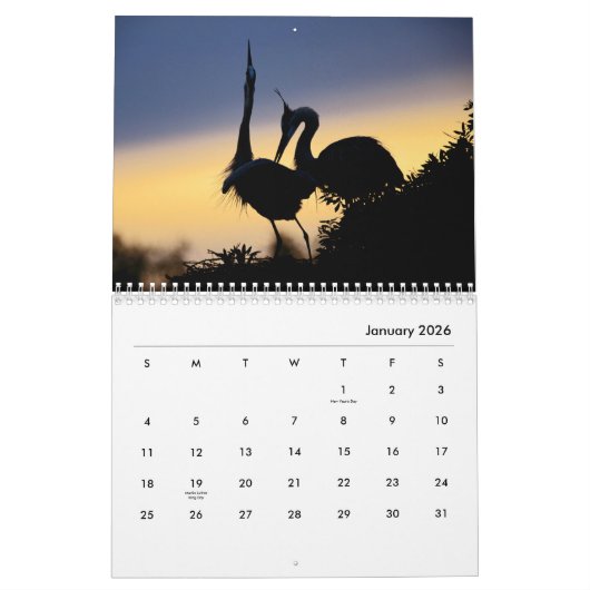 Storchenkalender Kalender (Jan 2026)