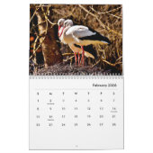 Storchenkalender Kalender (Feb 2026)