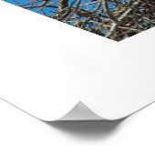 Storchennest Poster (Ecke)