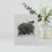 Storchennest Postkarte (Stehend Vorderseite)