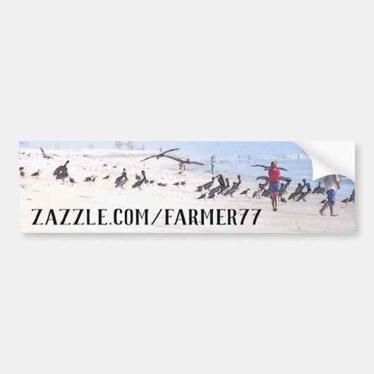 Store Address Beach Pelican Birds Autoaufkleber (Vorne)