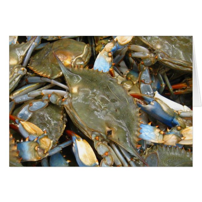 Stören Sie mich nicht,…, das ich mürrisch bin! (Vorderseite (Horizontal))