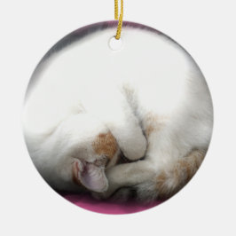 Stören Sie nicht die Katzen-Verzierungen Keramik Ornament