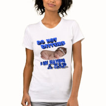 STÖREN SIE NICHT, ICH HABE EIN NICKERCHEN