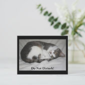 Stören Sie nicht! Postkarte (Stehend Vorderseite)