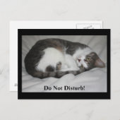 Stören Sie nicht! Postkarte (Vorne/Hinten)