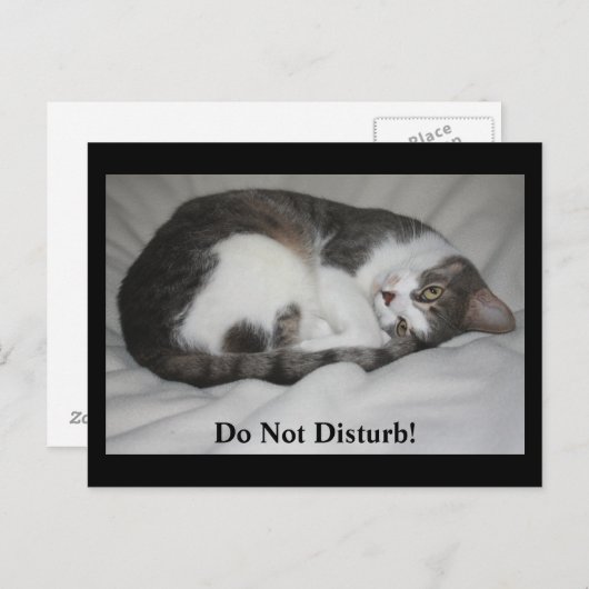 Stören Sie nicht! Postkarte (Vorne/Hinten)