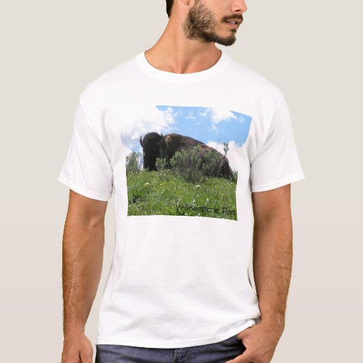 Stören Sie nicht T-Shirt (Vorderseite)