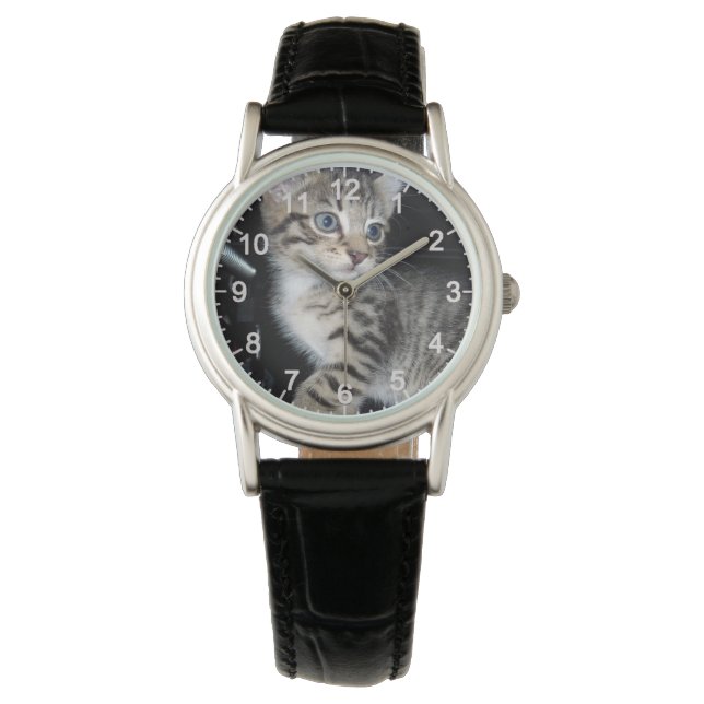 "Störenfried: Die Mischlinge Tabby Kitten Armbanduhr (Vorderseite)