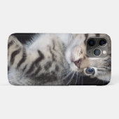 "Störenfried: Die Mischlinge Tabby Kitten Case-Mate iPhone Hülle (Rückseite (Horizontal))