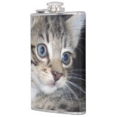 "Störenfried: Die Mischlinge Tabby Kitten Flachmann (Links)