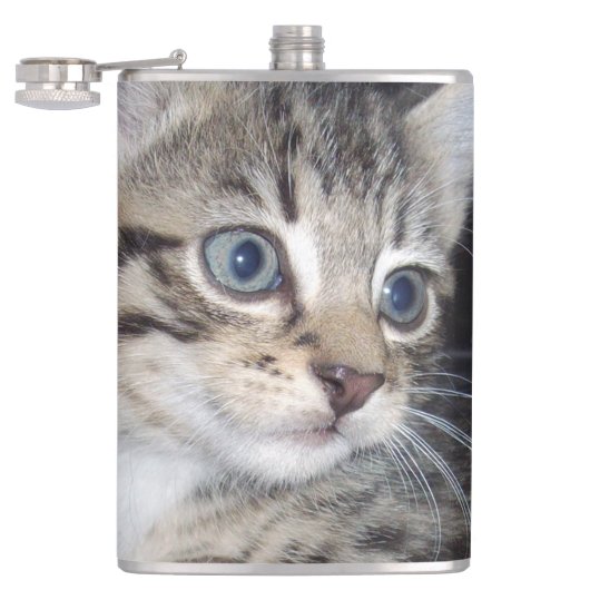"Störenfried: Die Mischlinge Tabby Kitten Flachmann (Geöffnet)