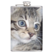 "Störenfried: Die Mischlinge Tabby Kitten Flachmann (Vorderseite)