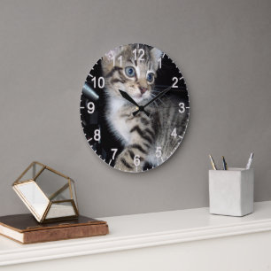 "Störenfried: Die Mischlinge Tabby Kitten Große Wanduhr