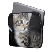 "Störenfried: Die Mischlinge Tabby Kitten Laptopschutzhülle (Vorderseite Links)