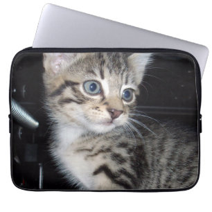"Störenfried: Die Mischlinge Tabby Kitten Laptopschutzhülle