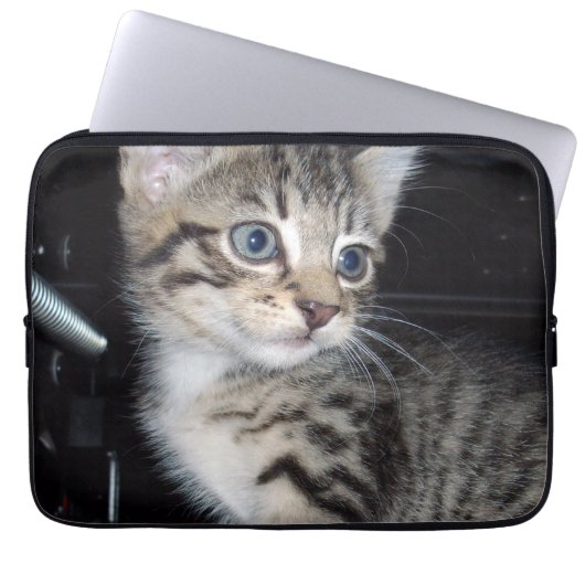 "Störenfried: Die Mischlinge Tabby Kitten Laptopschutzhülle (Vorderseite)