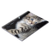 "Störenfried: Die Mischlinge Tabby Kitten Notizblock (Linke Seite)