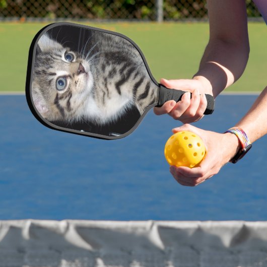 "Störenfried: Die Mischlinge Tabby Kitten Pickleball Schläger (InSitu)
