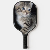 "Störenfried: Die Mischlinge Tabby Kitten Pickleball Schläger (Vorderseite)