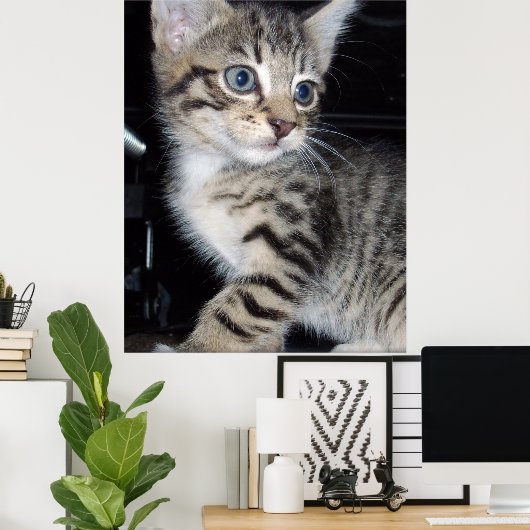 "Störenfried: Die Mischlinge Tabby Kitten Poster (Heimbüro)