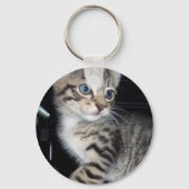 "Störenfried: Die Mischlinge Tabby Kitten Schlüsselanhänger (Vorderseite)