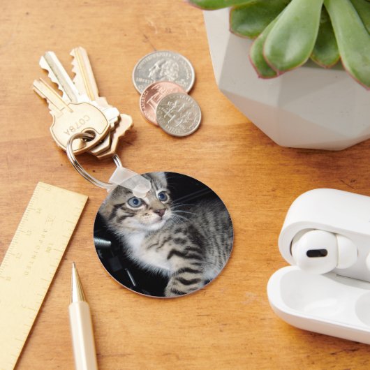 "Störenfried: Die Mischlinge Tabby Kitten Schlüsselanhänger (Schreibtisch)