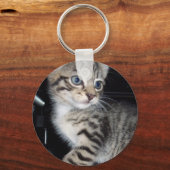 "Störenfried: Die Mischlinge Tabby Kitten Schlüsselanhänger (Vorderseite)