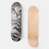 "Störenfried: Die Mischlinge Tabby Kitten Skateboard (Vorderseite)