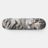 "Störenfried: Die Mischlinge Tabby Kitten Skateboard (Horizontal)