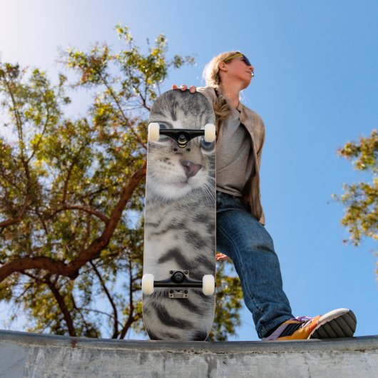 "Störenfried: Die Mischlinge Tabby Kitten Skateboard (Außen 1)