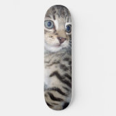 "Störenfried: Die Mischlinge Tabby Kitten Skateboard (Vorderseite)
