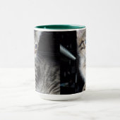 "Störenfried: Die Mischlinge Tabby Kitten Tasse (Zentrum)